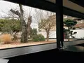 辻利兵衛本店の写真_426914