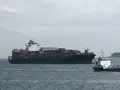 第二海堡の写真_427016
