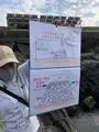 第二海堡の写真_427022