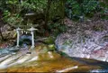 龍鎮神社の写真_427196