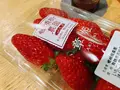 由良川鉄橋の写真_427443