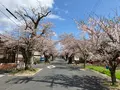 丹後由良駅の写真_427449