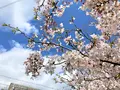 丹後由良駅の写真_427450