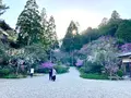如意寺の写真_427498