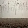 国立新美術館の写真_427585