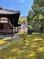 青蓮院門跡の写真_427610
