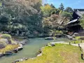 青蓮院門跡の写真_427614