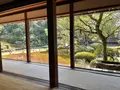 青蓮院門跡の写真_427617