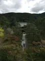 南禅寺の写真_427619