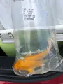 道の駅めぬまの写真_427767
