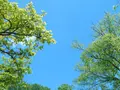 ホテル ホリデーホームの写真_428336