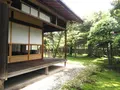 豪商稲葉本家の写真_428364