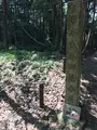 日本武尊御墓の写真_428708