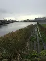 七里の渡し着場跡の写真_428729