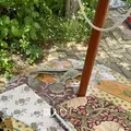 ミモザ村の写真_429084