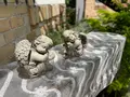ミモザ村の写真_429088