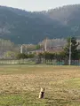 温根湯温泉 美肌の湯元 大江本家の写真_429297