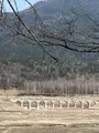 タウシュベツ橋梁展望台の写真_429313