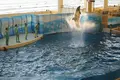 新江ノ島水族館の写真_429446