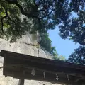花の窟の写真_429485