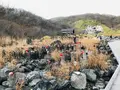 殺生石の写真_429594