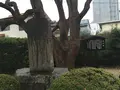 桶狭間古戦場伝説地の写真_429613