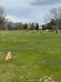 おんねゆ温泉つつじ公園の写真_429760