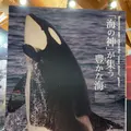 知床世界遺産センターの写真_429805