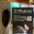 知床世界遺産センターの写真_429807