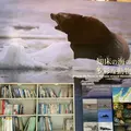 知床世界遺産センターの写真_429808
