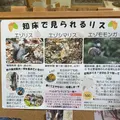 知床世界遺産センターの写真_429810