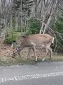 知床自然センターの写真_429818