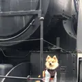 網走市鉄道記念館の写真_429823