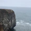 能取岬海岸の写真_429854