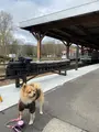 ふるさと銀河線りくべつ鉄道の写真_429858