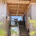 ピザ喫茶ミモザの木の写真_430141
