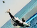 鴨川シーワールドの写真_430593