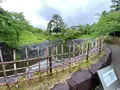 掛川城の写真_430620