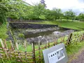 掛川城の写真_430622