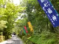 赤山禅院の写真_431265