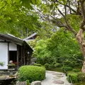 圓光寺の写真_431291