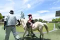野間馬ハイランドまきば館の写真_431392