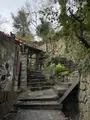 猫の細道の写真_431528