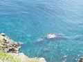 神威岬の写真_431600