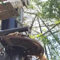 旭川市 旭山動物園の写真_431607