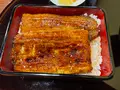 小川菊の写真_431680