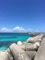 波照間漁港の写真_431868