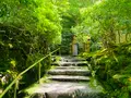 瑠璃光院の写真_431969