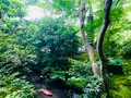 瑠璃光院の写真_431970