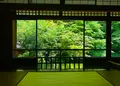瑠璃光院の写真_431974